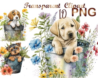 10 Puppy in a bucket PNG, Labrador puppy, Beagle puppy, Spaniel puppy, Yorkie puppy, Aussie puppy, Commercial Use,Digital Download Active