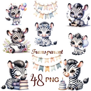 48 PNG, Watercolor Baby zebra clipart bundle, cute zebra clipart, little zebra, baby zebra clipart, Commercial use, Digital Download