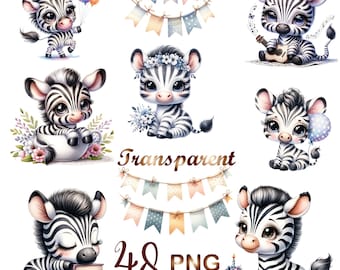 48 PNG, Watercolor Baby zebra clipart bundle, cute zebra clipart, little zebra, baby zebra clipart, Commercial use, Digital Download