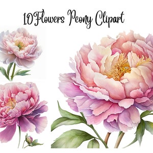 10 Flowers Peony Clipart JPGs,  High Quality, Digital Download, Card Making, Mixed Media, Digital Paper Craft, Watercolor clipart, Flowers