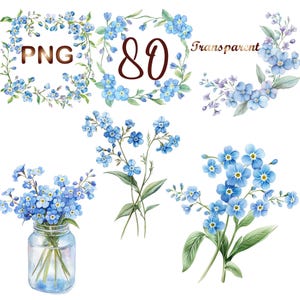 Puede incluir: Ilustraciones de acuarela de flores de nomeolvides en varios arreglos. Las flores son azules con tallos y hojas verdes. Algunos arreglos incluyen una corona, un ramo en un frasco y tallos individuales. El texto "PNG 80 transparent" está incluido en la imagen.