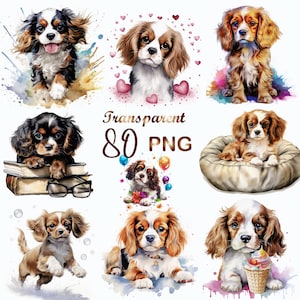 80 PNGs, Cavalier King Charles Spaniel Puppy Clipart Watercolor, Commercial use, Digital Download, Card Making, Clip Art,Digital Paper Craft