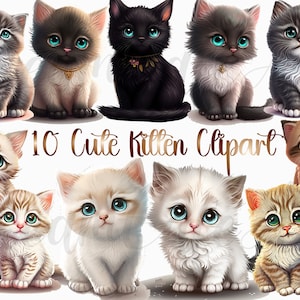 12 Kitten Watercolor Clipart png, kitten png,cute Kitten png, Baby Kitten Clipart, Kitten clip art, cat png, commercial use,digital download