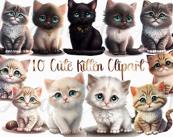 12 Kitten Watercolor Clipart png, kitten png,cute Kitten png, Baby Kitten Clipart, Kitten clip art, cat png, commercial use,digital download