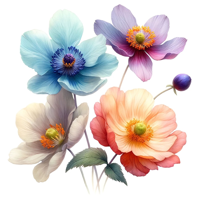 K&ouml;nnte beinhalten: Ein Strau&szlig; aus vier zarten Bl&uuml;ten in sanften Pastellfarben. Die Bl&uuml;ten sind hellblau, zartrosa, wei&szlig; und pfirsichfarben. Die Bl&uuml;ten haben mehrere Bl&uuml;tenbl&auml;tter und sind in einer Traube angeordnet.