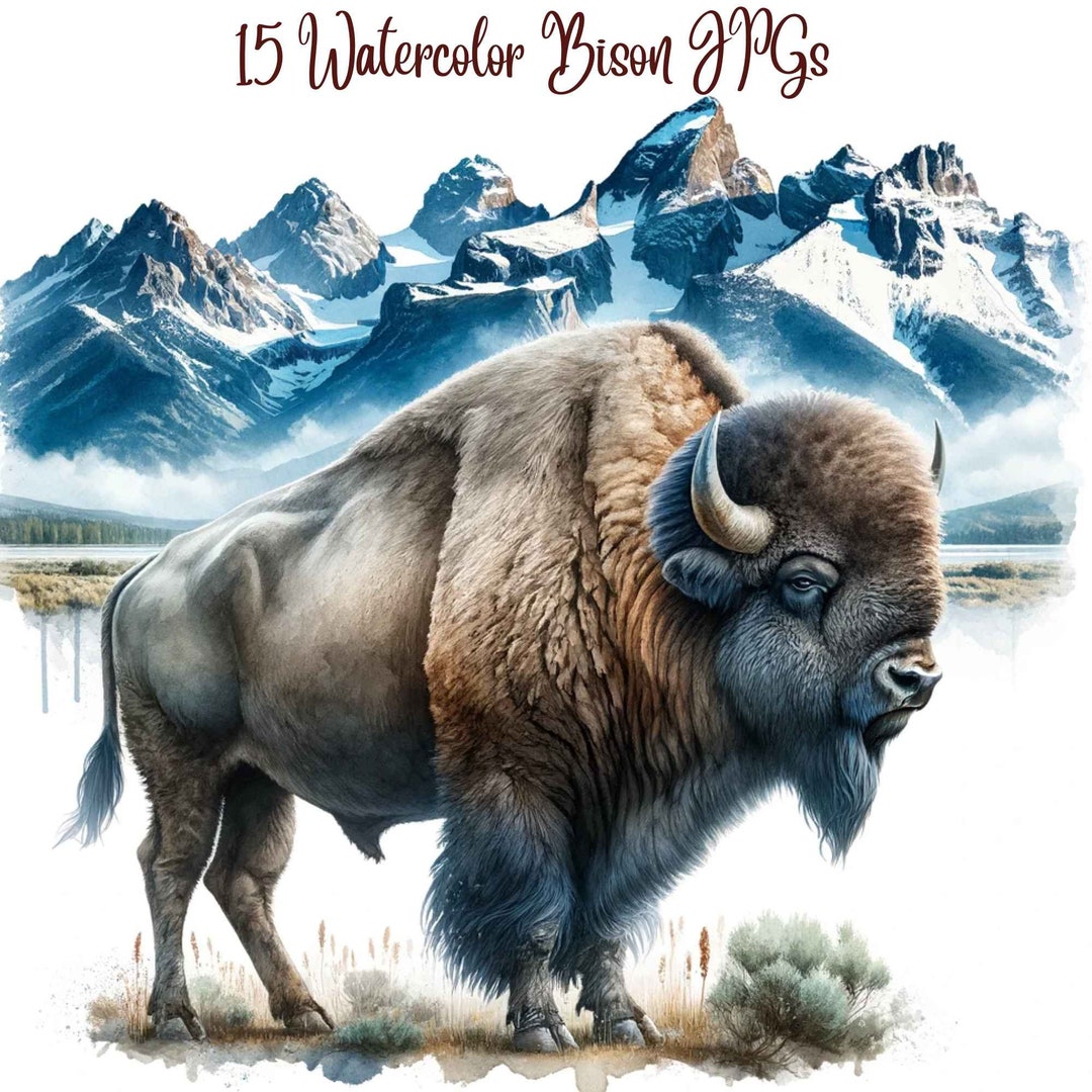 15 Bison, Cow Clipart Bundle, Bison Art Print, Bison Prints, Bison ...