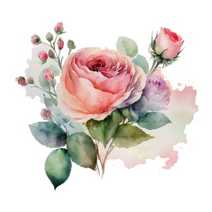 12 Watercolor Rose Clipart High Quality Jpgs Digital - Etsy