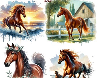 16 Horse Clipart bundle png, watercolor horse png, horses png,western png, cowgirl png, sublimation design, commercial use, digital download