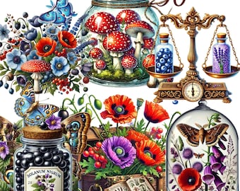 30 PNG set 3 Herbal Witch Witchcraft Illustration, Witch Witchcraft Clipart Bundle,Old World Apothecary, Digital Download, Commercial Use