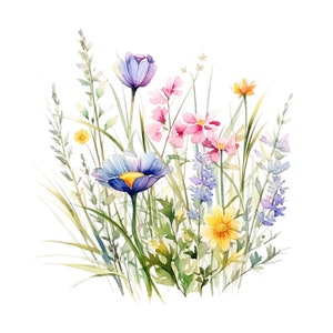 20 Wildblumen Wiese Clipart PNG, Sommer Blumen Natur Bilder, Wildblumen für Druck, Collage, Scrapbook, Junk Journal usw. Freie kommerzielle Nutzung Bild 9