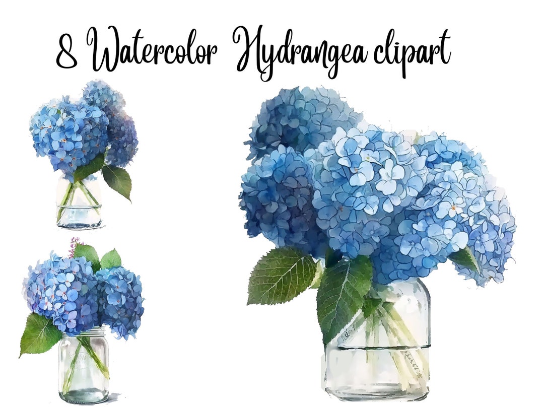 8jpgs, Hydrangea Clipart, Hydrangea in a Glass Vase, Floral Clipart ...