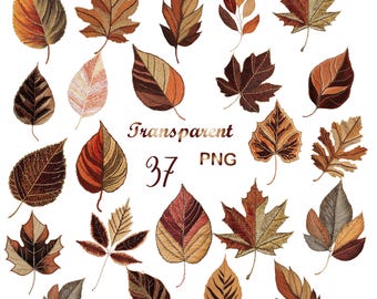 37 Embroidered Autumn Leaves PNG | Fall Foliage Clipart | Transparent Boho Leaves for Scrapbooking & Crafts, Digital Download,Commercial Use