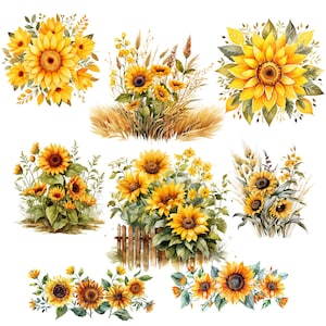 Puede incluir: Una colecci&oacute;n de ilustraciones de acuarela con girasoles en diferentes arreglos. Algunos girasoles est&aacute;n en ramos, mientras que otros est&aacute;n en campos con tallos de trigo. Las ilustraciones son perfectas para agregar un toque de naturaleza a cualquier proyecto.