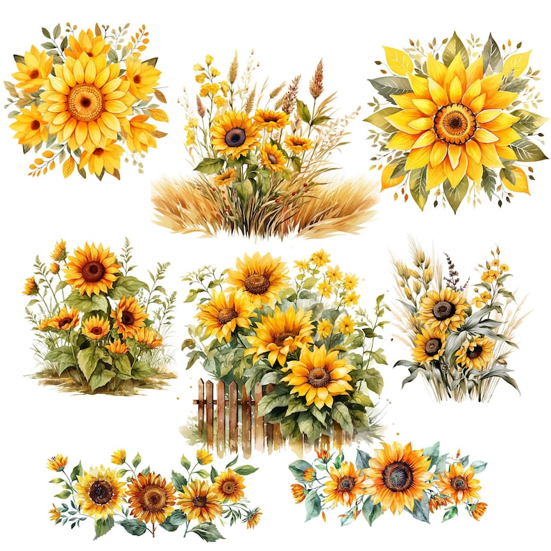 Puede incluir: Una colecci&oacute;n de ilustraciones de acuarela con girasoles en diferentes arreglos. Algunos girasoles est&aacute;n en ramos, mientras que otros est&aacute;n en campos con tallos de trigo. Las ilustraciones son perfectas para agregar un toque de naturaleza a cualquier proyecto.