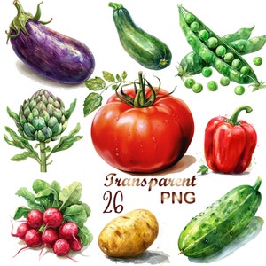 26 PNG, Food clipart set, Watercolor vegetables clipart, Potato clipart,Onion clipart,Pepper clipart, Peas clipart,Scrapbook,Junk journal