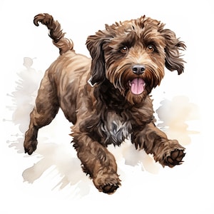 20 Watercolor  Labradoodle Dog Clipart, JPGs, Labradoodle Dog Breed,Commercial use,Digital Download,Watercolor art,Card Making,Digital Craft