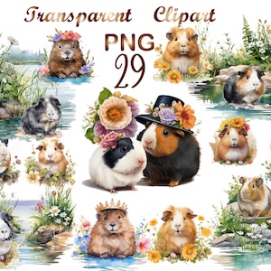 29 Watercolor Guinea Pigs Clipart PNG, Guinea Pigs png, Flower Guinea Pigs png,  Guinea Pigs Clip art, Commercial Use, Digital Download
