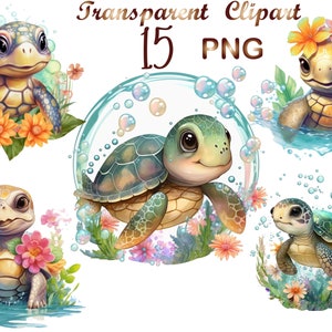 15 Watercolor Baby Turtle PNG,watercolor turtle,turtle png,turtle sublimation,sea turtle png,turtle clipart,Commercial Use, Digital Download