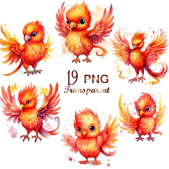 19 Baby Phoenix Clipart Bundle, PNG Fairytale Fantasy, Digital