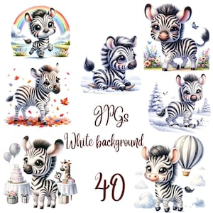 40 JPG, Watercolor Baby zebra clipart bundle, cute zebra clipart, little zebra, baby zebra clipart, Commercial use, Digital Download