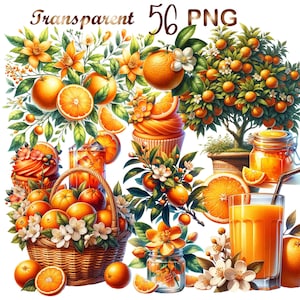 Op de afbeelding: Een verzameling illustraties met een sinaasappelthema, waaronder een mand vol sinaasappelen, een glas sinaasappelsap, een pot sinaasappelmarmelade, een cupcake met sinaasappelglazuur en een sinaasappelboom in een pot. De illustraties zijn in cartoon-stijl en hebben felle kleuren.