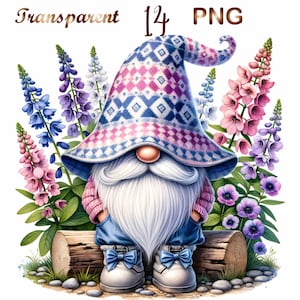 14 PNG Geburtstagsmonat Blume Clipart, Geburtsmonat Blumen Gnom, Rittersporn, niedliche Gnome png, niedliche Zwerge Clipart