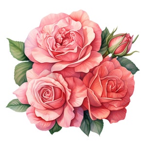 11 Watercolor Pastel Pink Roses Clipart Pngfloral PNG - Etsy