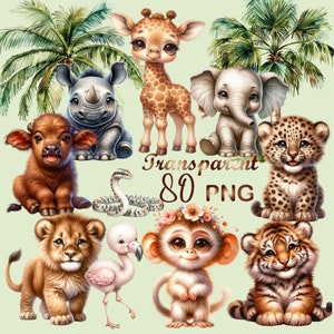 80 PNG,Safari Animals Clipart Watercolor,jungle safari ,baby safari animals PNG,safari clipart elephant zebra giraffe tiger lion,baby shower