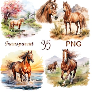 May include: Four watercolor paintings of horses. The first painting shows a brown horse standing in a field of grass. The second painting shows a brown horse running through a body of water. The third painting shows a brown horse standing in a field of grass with a pink tree in the background. The fourth painting shows a brown horse standing in a field of grass with a mountain in the background.