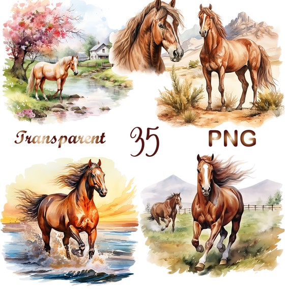 35 Horse Clipart bundle png, watercolor horse png, horses png,western png, cowgirl png, sublimation design, commercial use, digital download