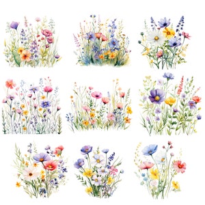 20 Wildblumen Wiese Clipart PNG, Sommer Blumen Natur Bilder, Wildblumen für Druck, Collage, Scrapbook, Junk Journal usw. Freie kommerzielle Nutzung Bild 5