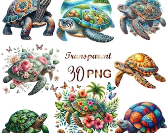 30 PNG set 1 Tropical Turtles clipart bundle, Turtle Illustrations Designs, Starry Fantasy Art, Instant Digital Download, Commercial Use