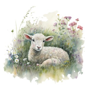 Op de afbeelding: Waterverfillustratie van een lammetje dat rust in een veld met wilde bloemen. Het lam heeft witte wol, roze oren en een zachte uitdrukking. De bloemen zijn roze, paars en wit, met groen gras en bladeren.