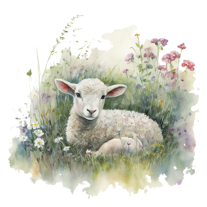Op de afbeelding: Waterverfillustratie van een lammetje dat rust in een veld met wilde bloemen. Het lam heeft witte wol, roze oren en een zachte uitdrukking. De bloemen zijn roze, paars en wit, met groen gras en bladeren.