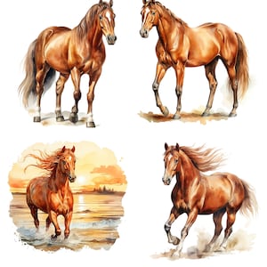 May include: Four watercolor paintings of brown horses in different poses. One horse is running through a sunset scene, another is standing with its head down, and two are standing with their heads up.