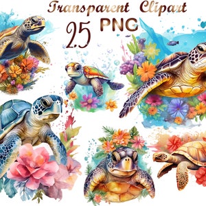 25 Watercolor Turtle PNG,watercolor turtle,turtle png,turtle sublimation,sea turtle png,turtle clipart,Commercial Use, Digital Download