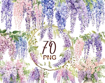 70 PNG Pastel Watercolor Wisteria Clipart Bundle - Vines and Flowers Graphic Designs, Digital Download, Commercial Use
