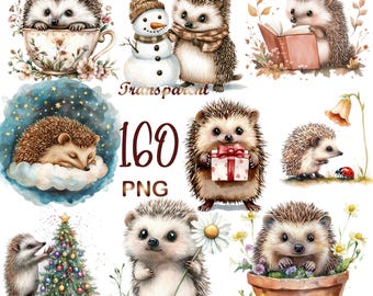 160 PNG Hedgehog Clipart Bundle, Cute Hedgehog Graphics, Illustrations & Designs, Woodland Animal Clip Art, Digital Download, Commercial Use