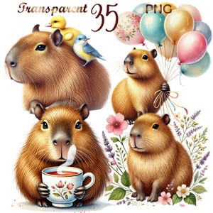 35 PNG Capybara Clipart Bundle, Cute Capybaras Art, Cute Capybara Graphics for Kids, Instant Download Digital Prints, Commercial Use
