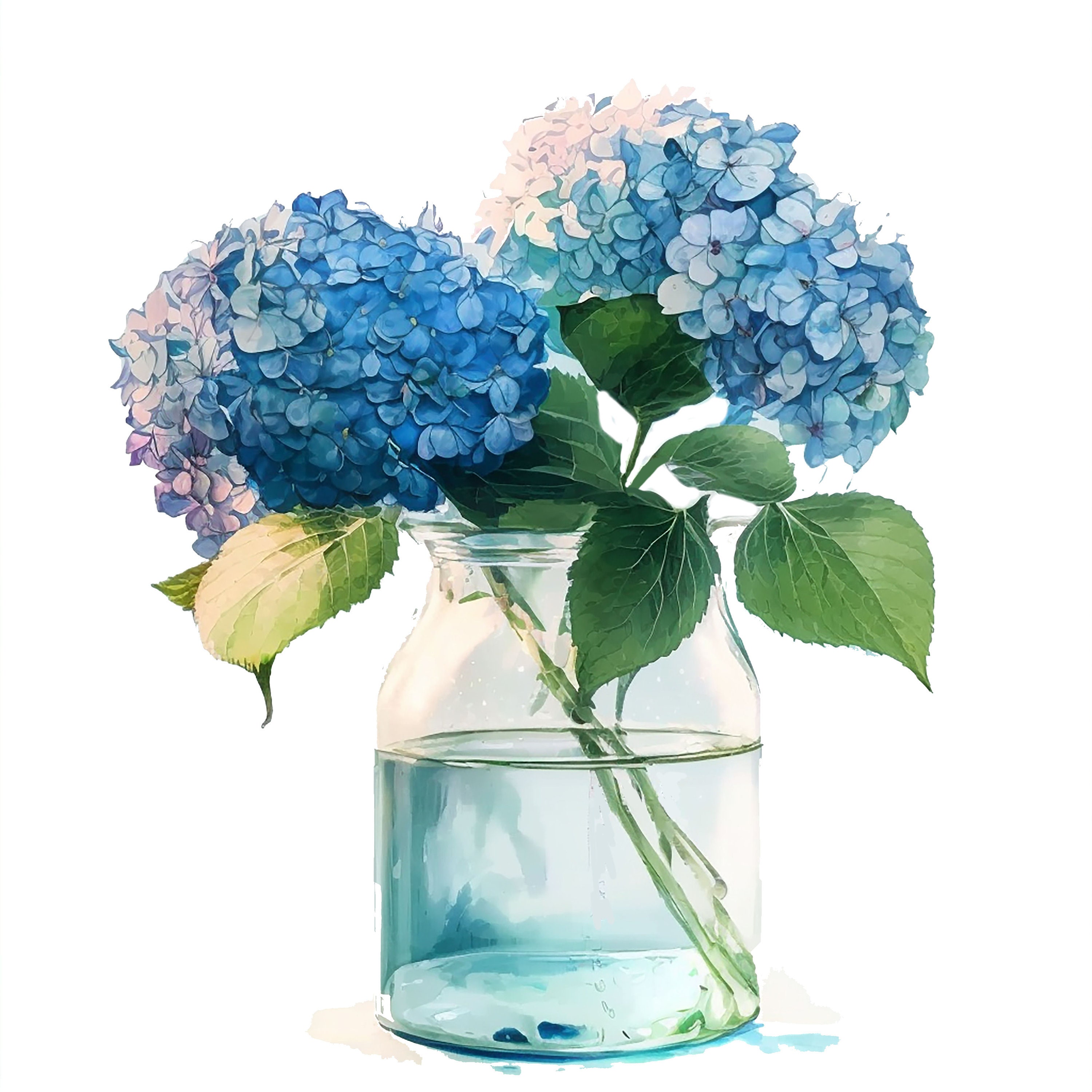 8jpgs, Hydrangea Clipart, Hydrangea in a Glass Vase, Floral Clipart ...