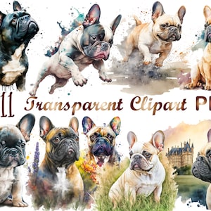 11 French Bulldog Clipart png,  Frenchie PNG, Watercolor Clipart, French Bulldog PNG, commercial use, digital download, Bulldog sublimation