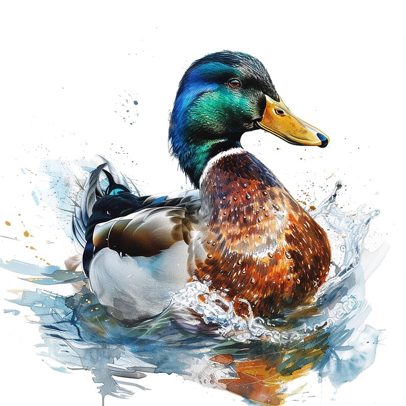 May include: A mallard duck with a green head and brown feathers is splashing in a blue and white watercolor background.