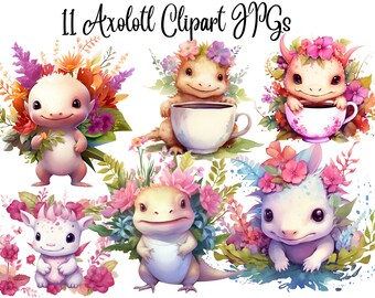 11 Baby Axolotl Clipart JPG, Axolotl Clip art, watercolor clipart,victorian clipart,steampunk ephemera,Commercial,Digital Download