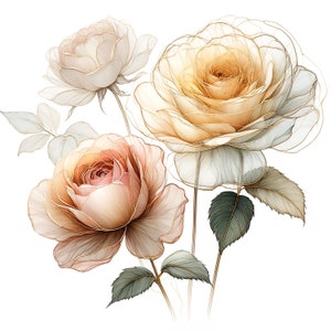 22 JPG, bundle di Clipart di rose astratte, fiori secchi, clipart di acquerelli stampabili, download digitale, artigianato di carta, diari spazzatura