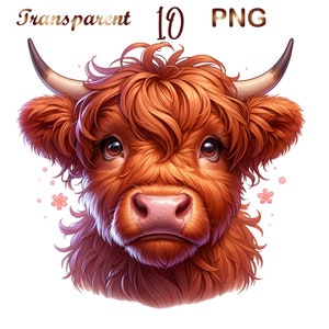 10 PNG, Watercolor Highland Calf Clipart,highland cow png, highland cow clipart,highland cow shirt,cute cow png, highland heifer png,cow png