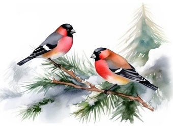 10 Bullfinches   Clipart  JPGs, Watercolor Bullfinches, Bullfinches  Clipart, Bird Clipart, Watercolor, Commercial Use, Digital Download