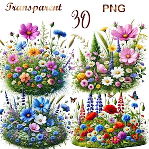 30 PNG Wildflower meadow clipart, Summer floral nature images,Wild flowers for print,collage, scrapbook,junk journal etc Free commercial use