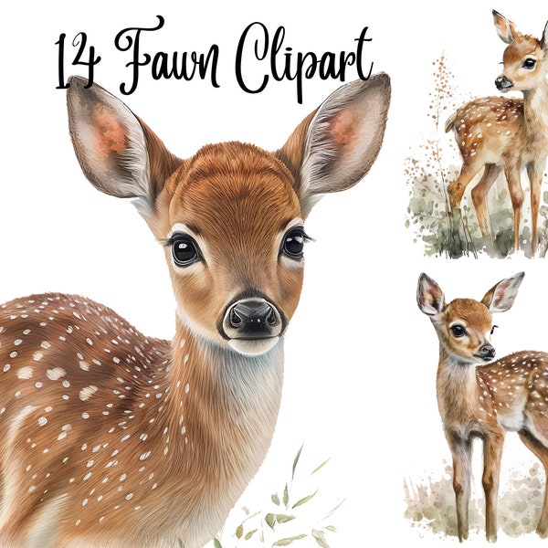 14 Fawn Clipart , High Quality JPGs, Digital Planner, Paper crafts, Junk Journals, Watercolor Fawn, Fawn clipart