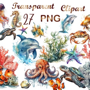 27 Marine life png, instant download, png,marine life,sea life png,ocean life png,sea creatures, clipart, octopus png,png,commercial use
