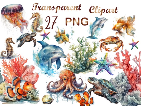 27 Marine life png, instant download, png,marine life,sea life png,ocean life png,sea creatures, clipart, octopus png,png,commercial use